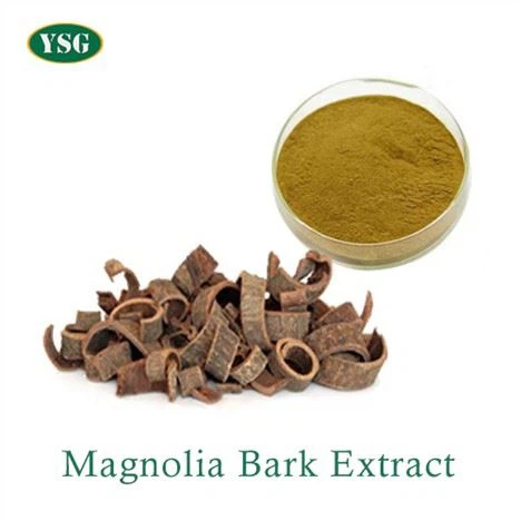 Magnólia kéreg kivonat por